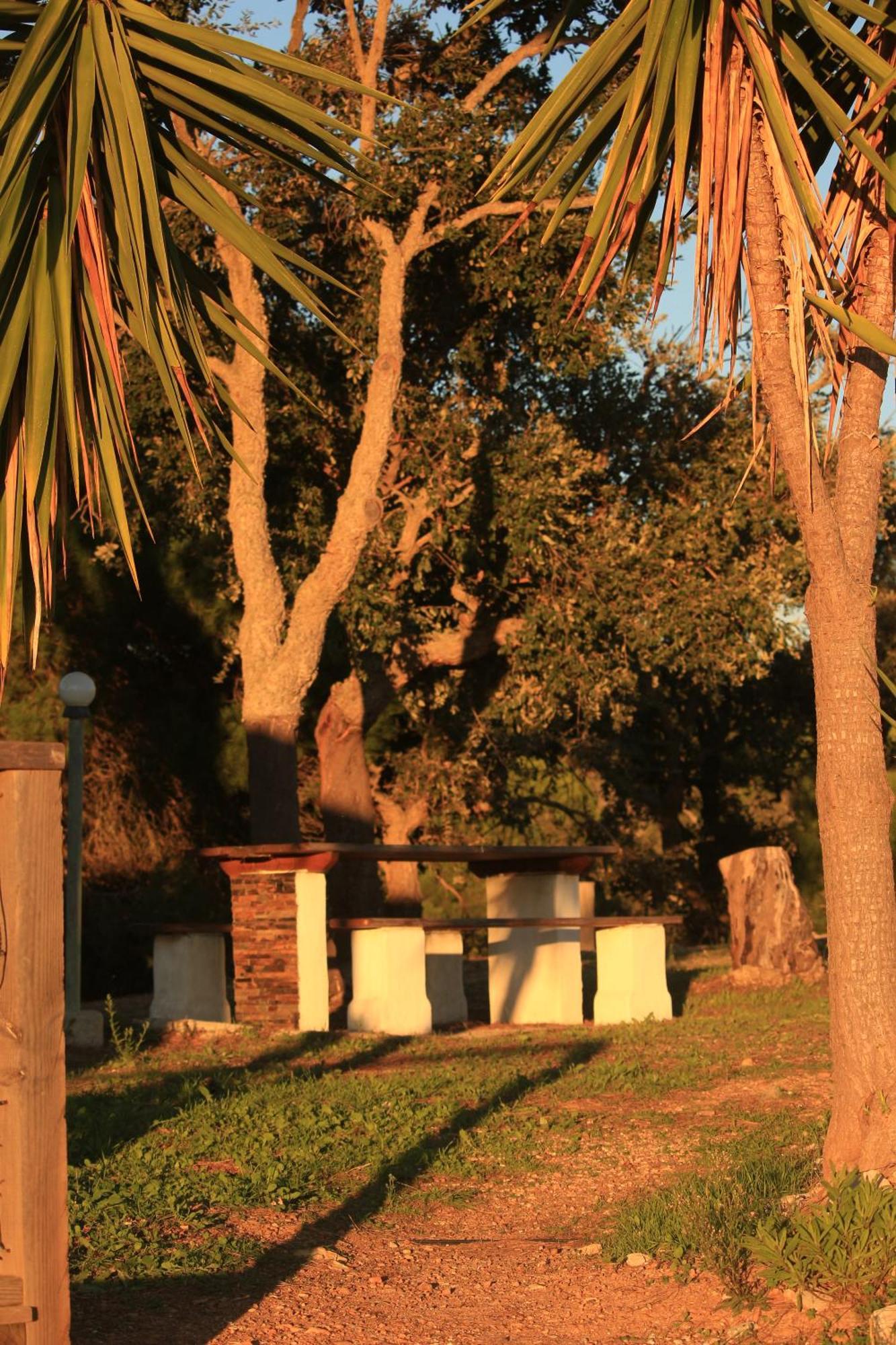Monte Sardinha Guest House Santiago do Cacem Exterior photo